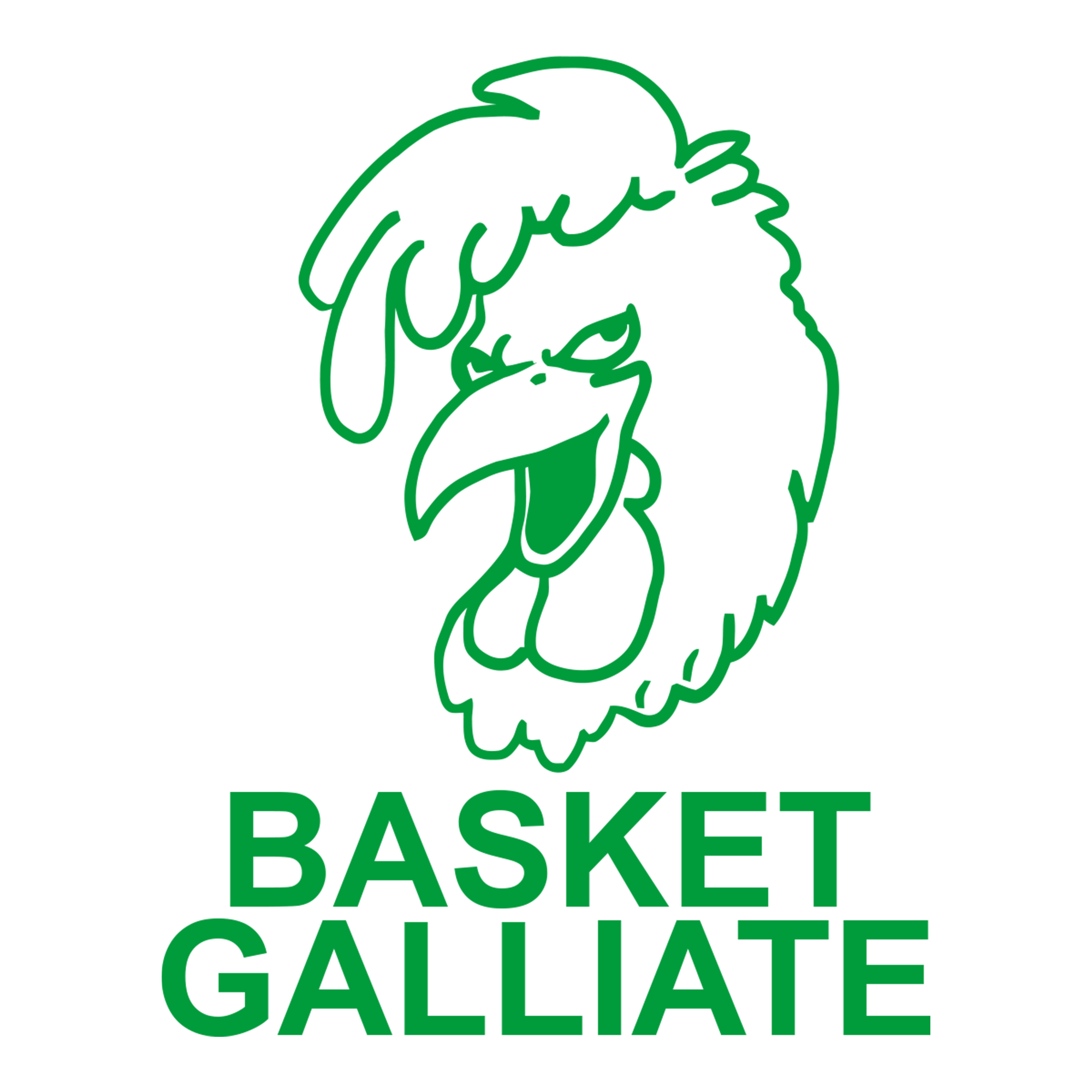 Basket Galliate ASD